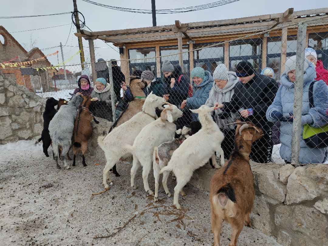 Раменское, общество