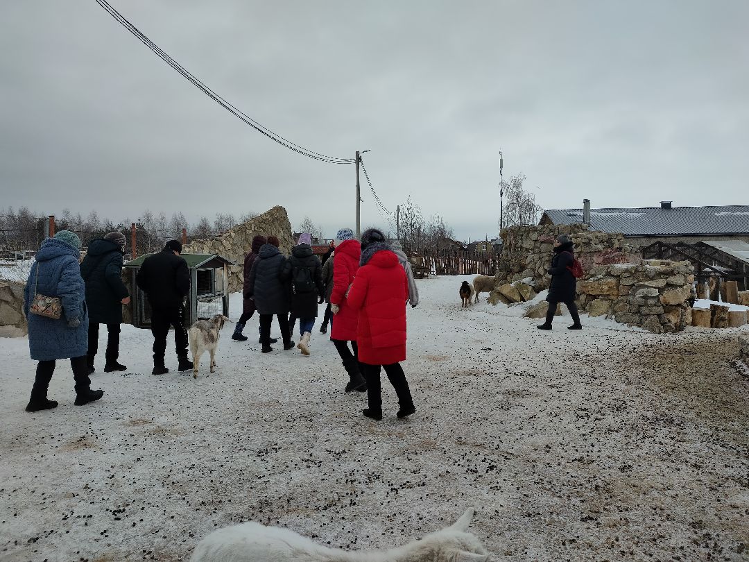 Раменское, общество