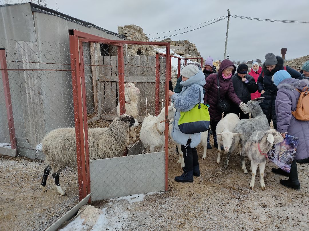 Раменское, общество