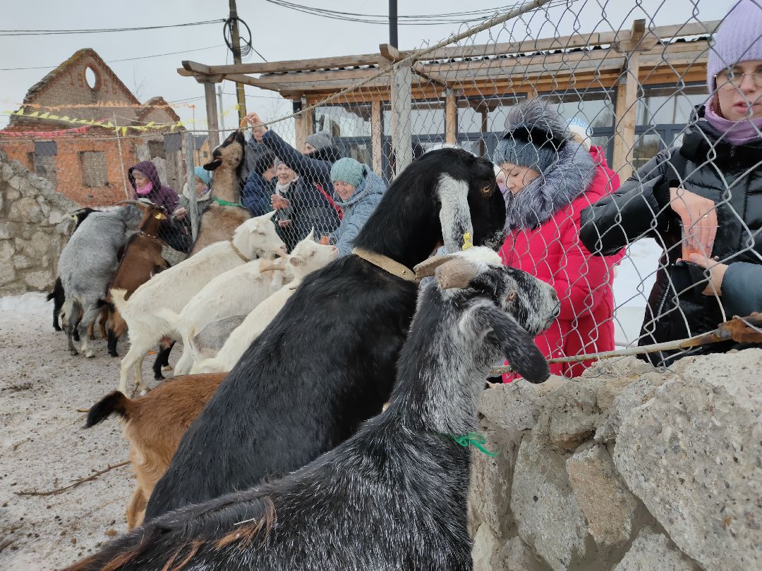 Раменское, общество