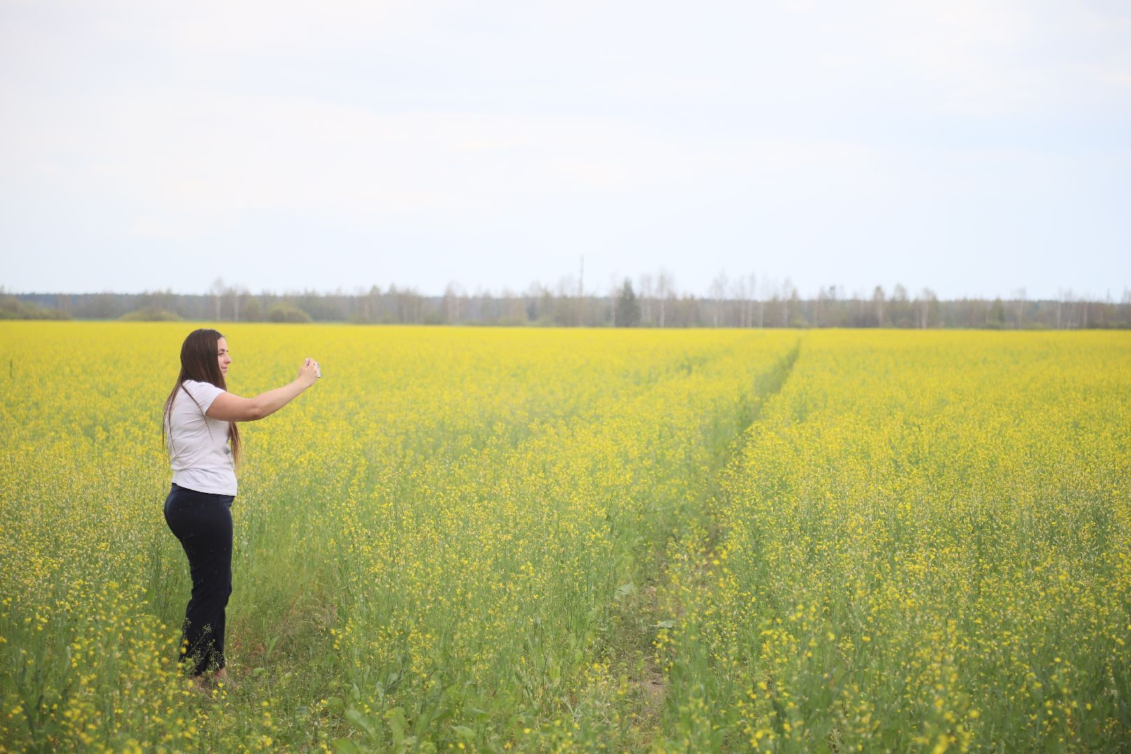 #БольшаяШатура#рапс#красота#Агрофорвард