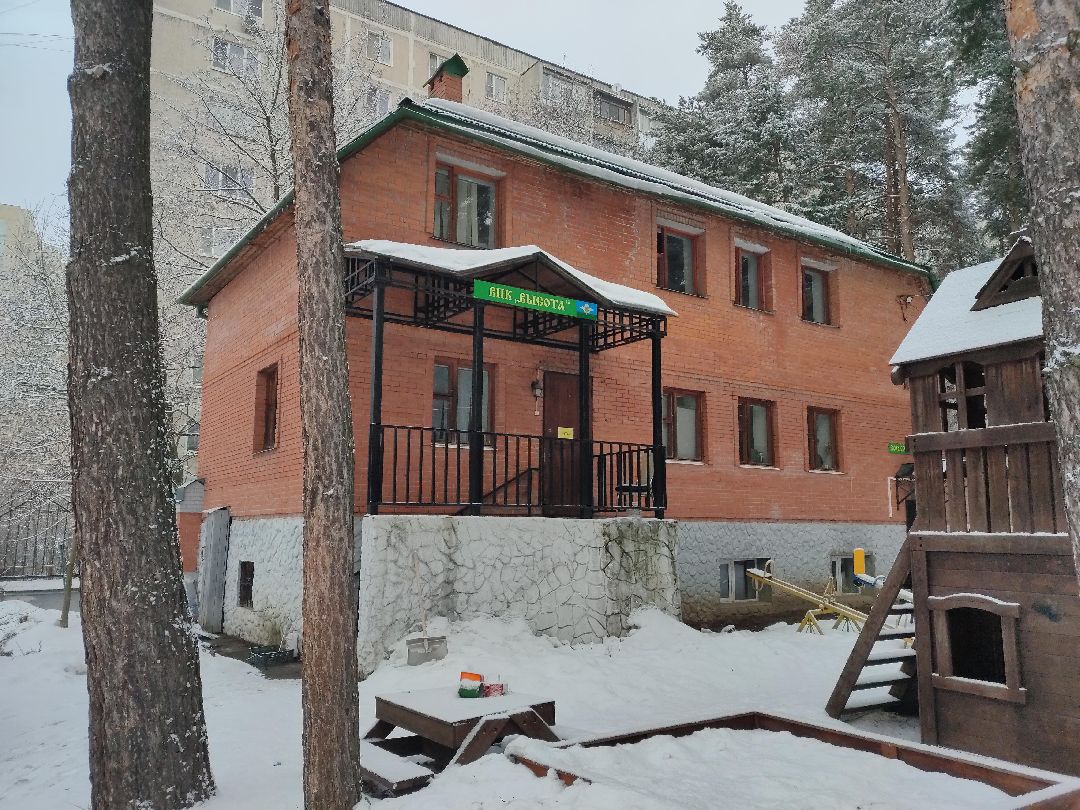 Раменское, общество