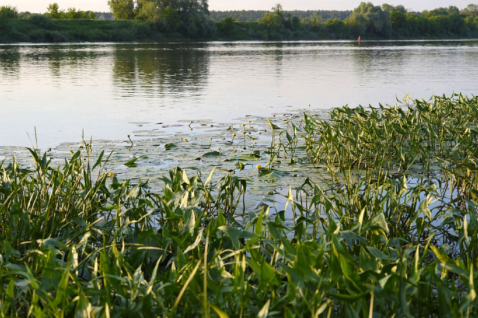 Пущино, экология