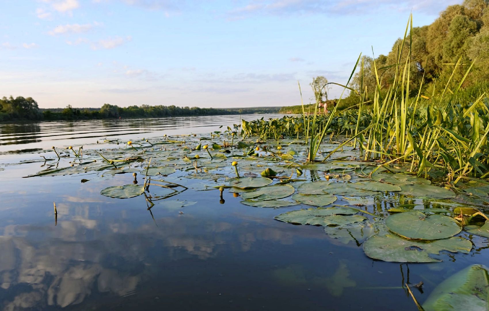 Пущино, экология