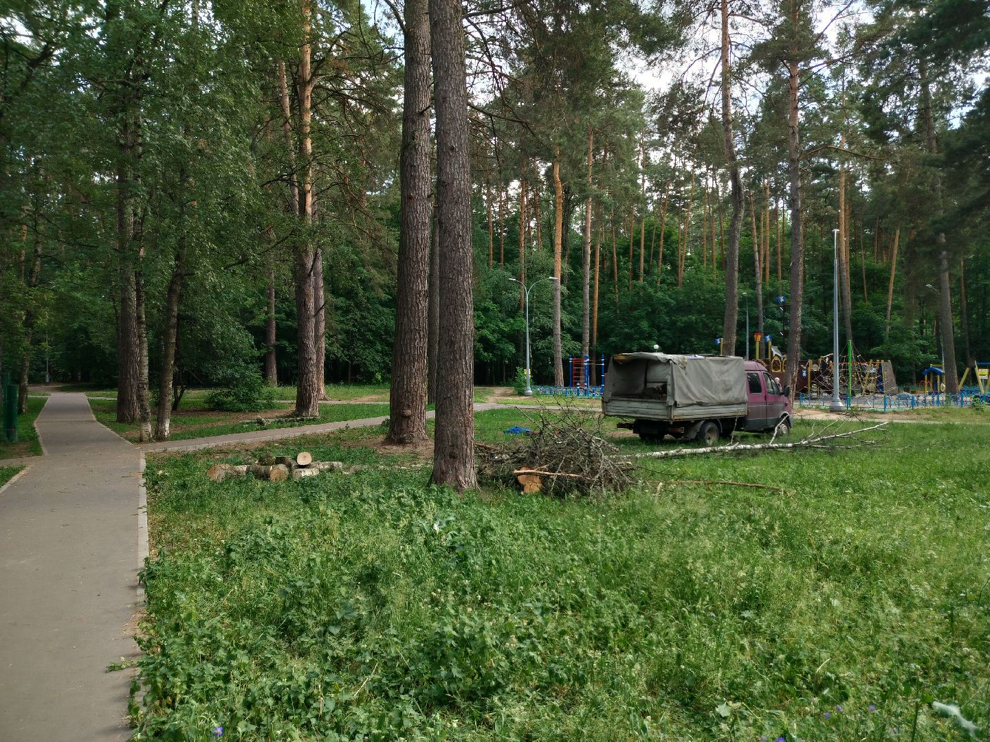 Благоустройство, Комбинат благоустройства, Протвино, деревья, сухостой, безопасность