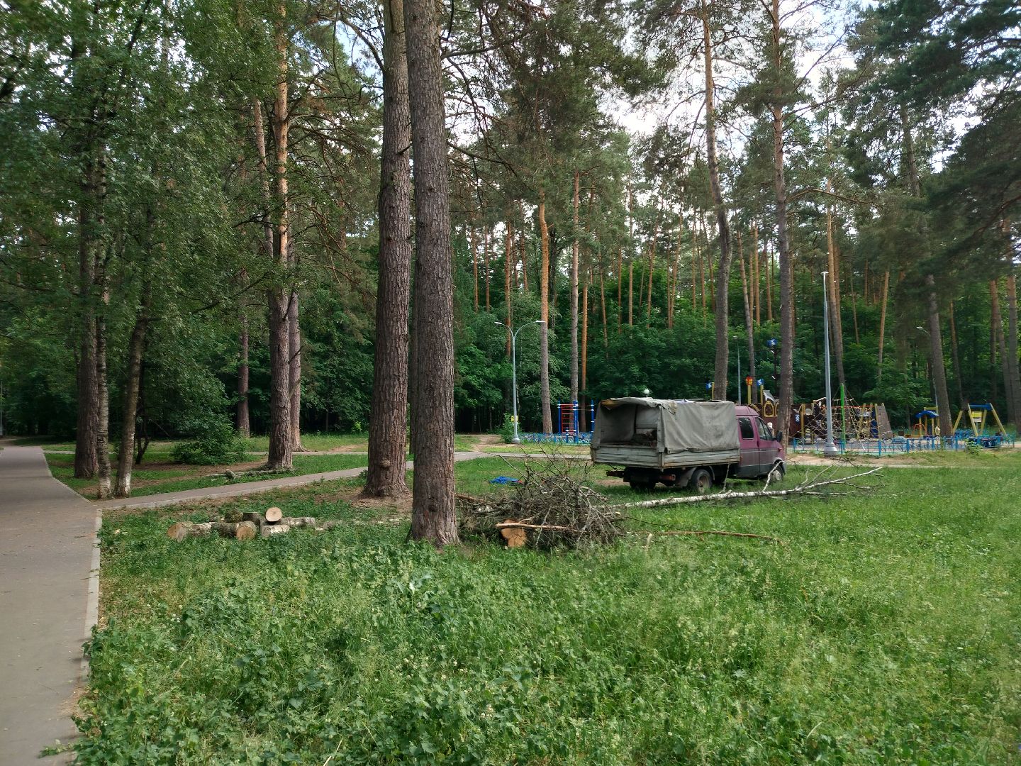 Благоустройство, Комбинат благоустройства, Протвино, деревья, сухостой, безопасность