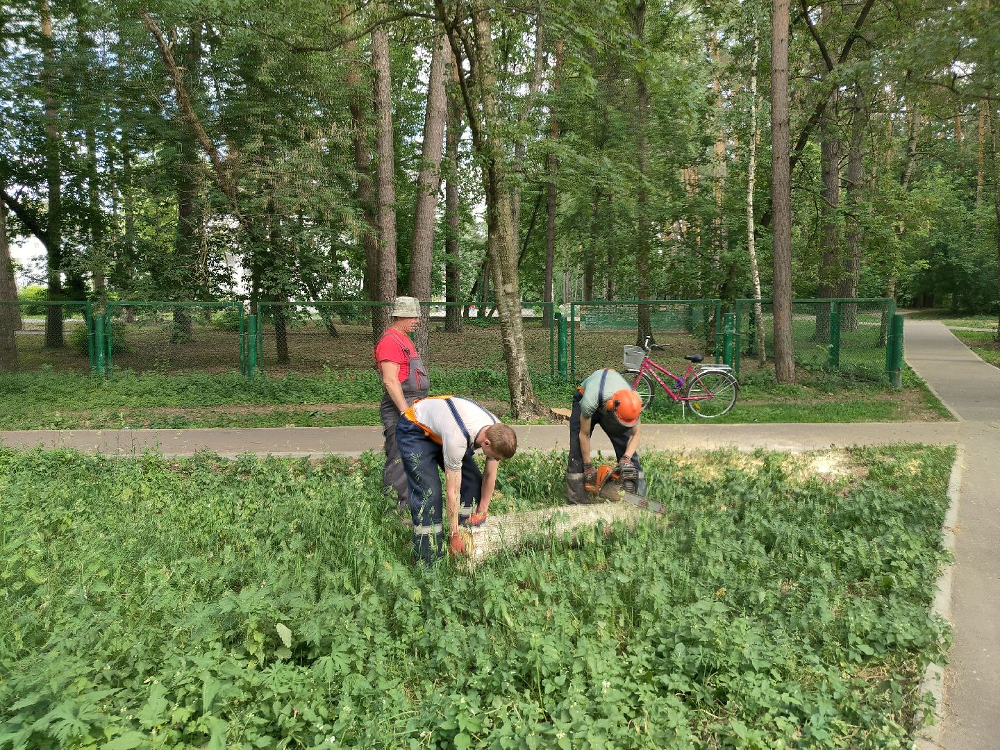 Благоустройство, Комбинат благоустройства, Протвино, деревья, сухостой, безопасность