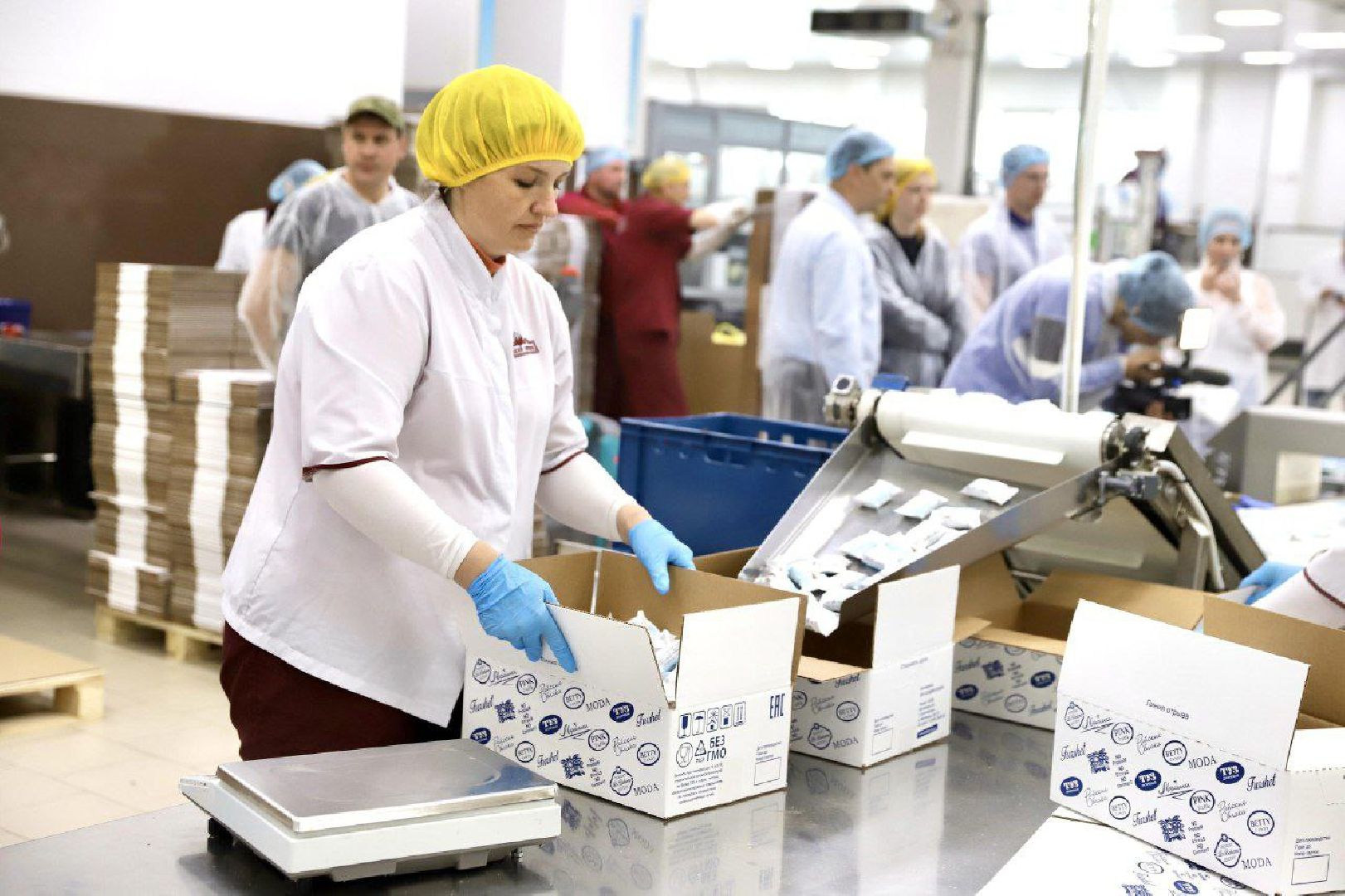 Солнечногорск, конфеты, поддержка, администрация, сладкий орешек