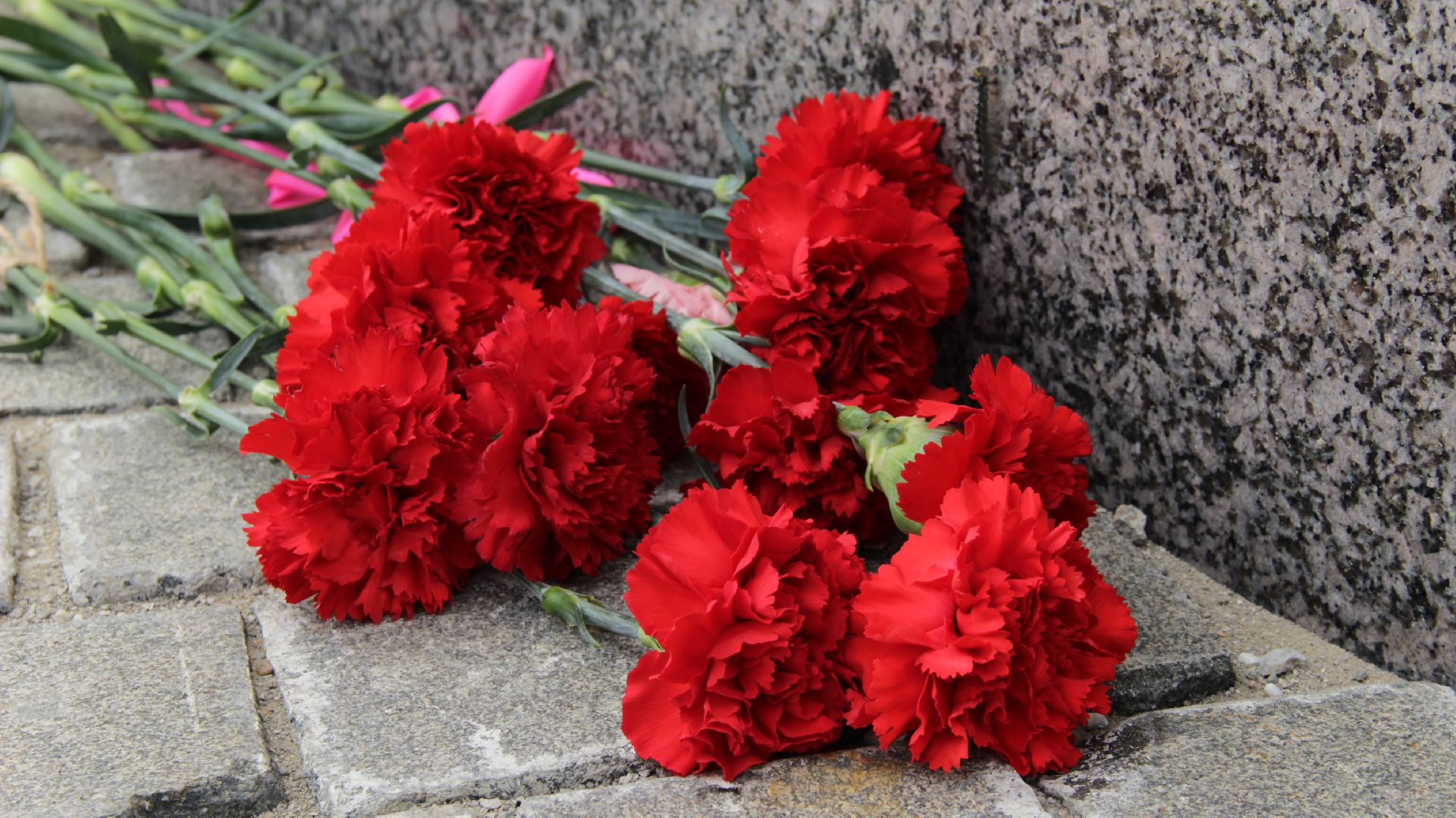 #Деньпамятиискорби#Рошаль#митинг#минутамолчания