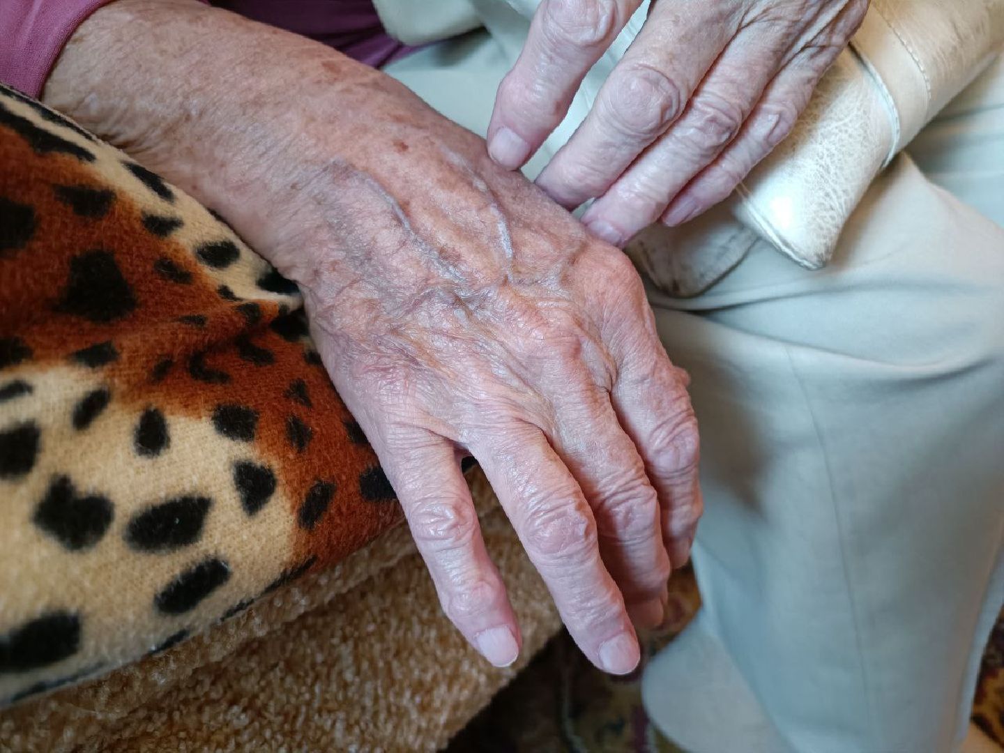 Можайск, Можайский городской округ, Подмосковье, Великая Отечественная война, День памяти и скорби, ветеран, война, воспоминания