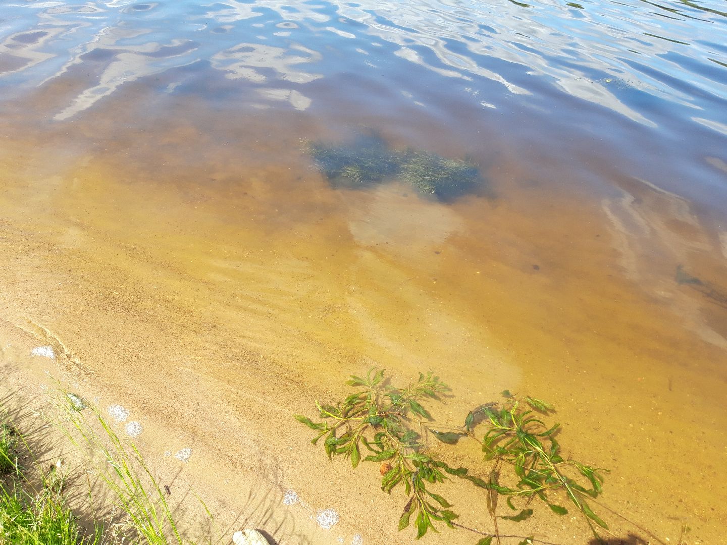 доброе дело, ветер, озеро,