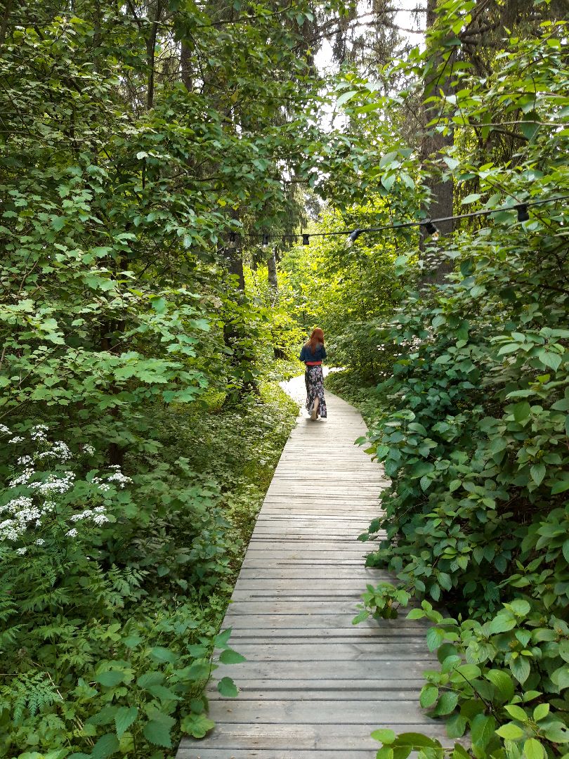 доброе дело, ветер, озеро,