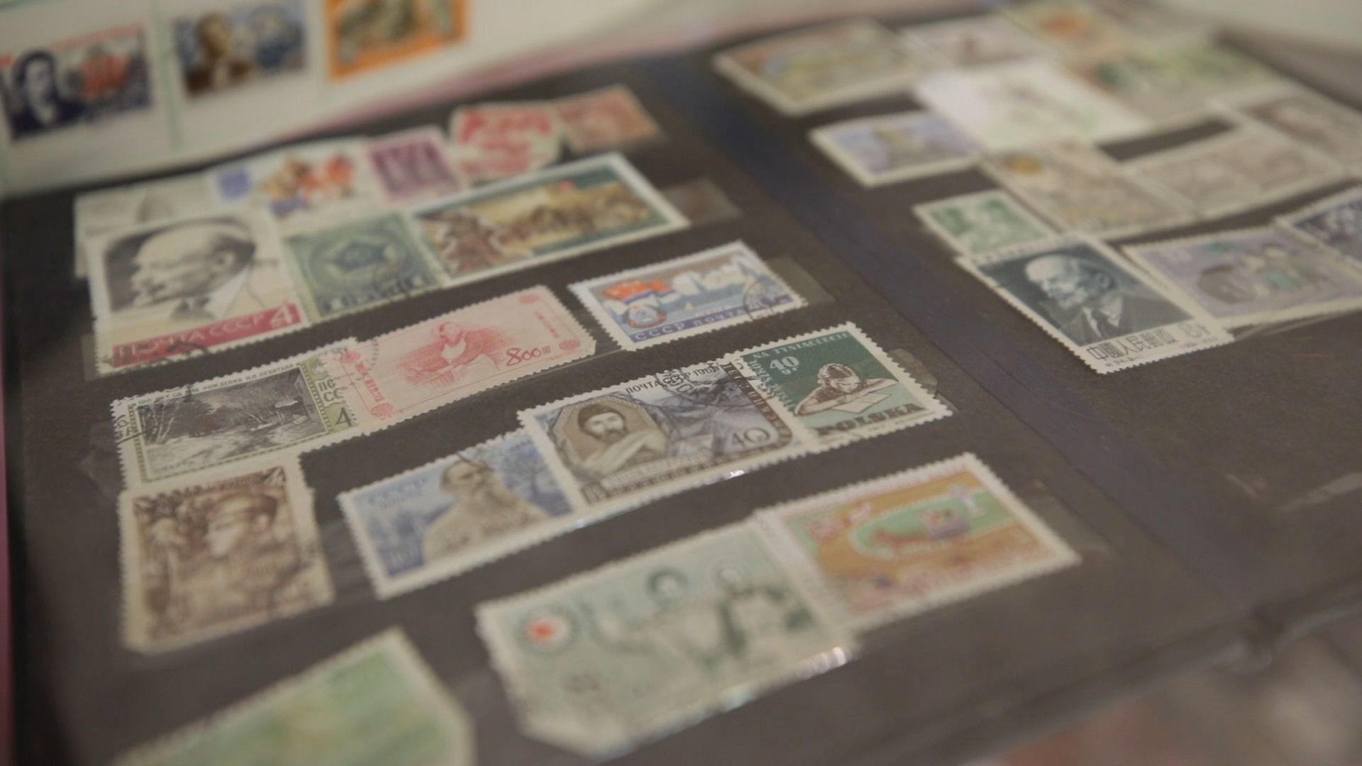 Выставка, музей, Орехово-Зуево, детство