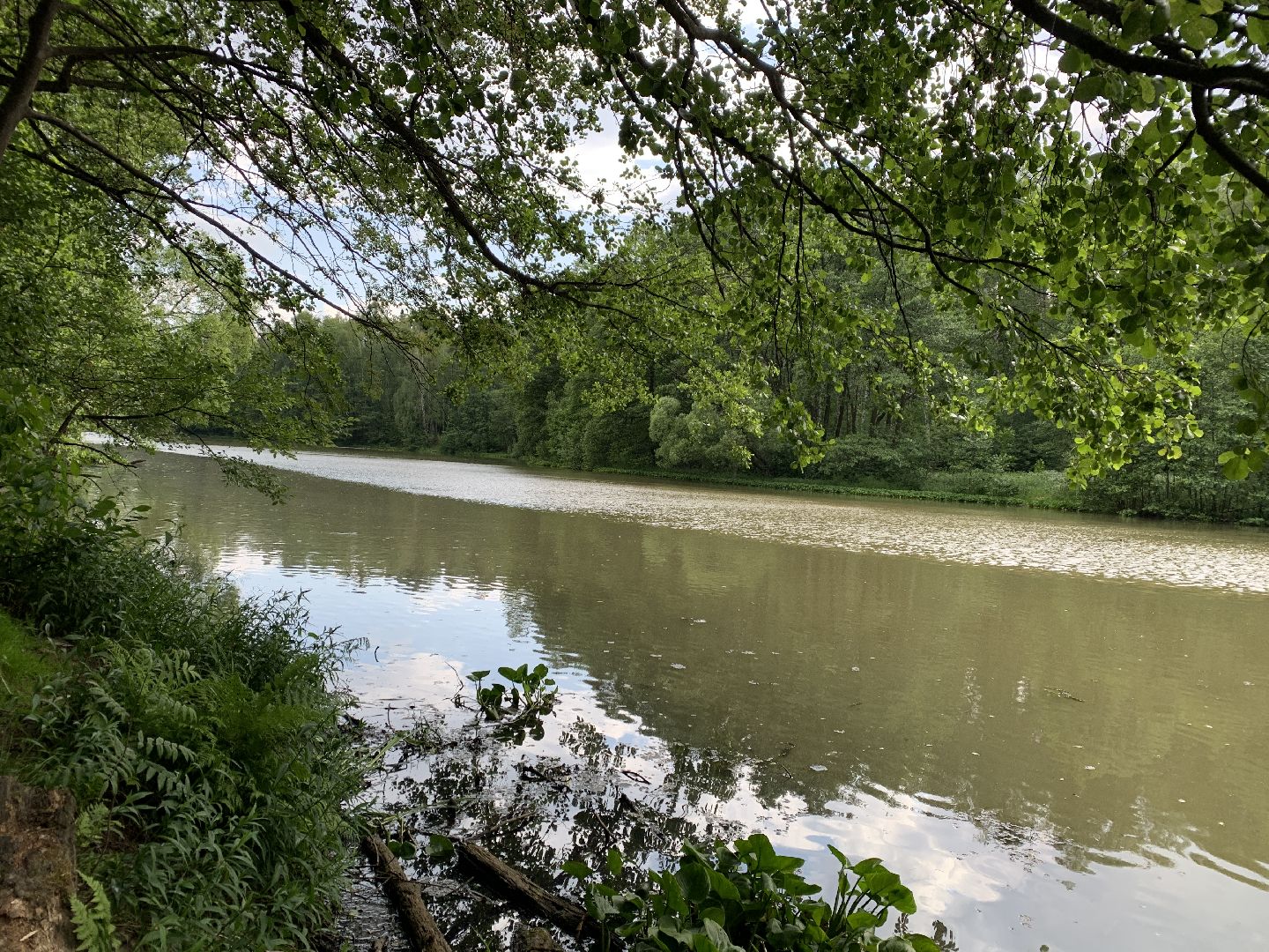 Балашиха, Подмосковье, благоустройство, экология, 100 прудов и озёр, пруды, водоёмы, экология
