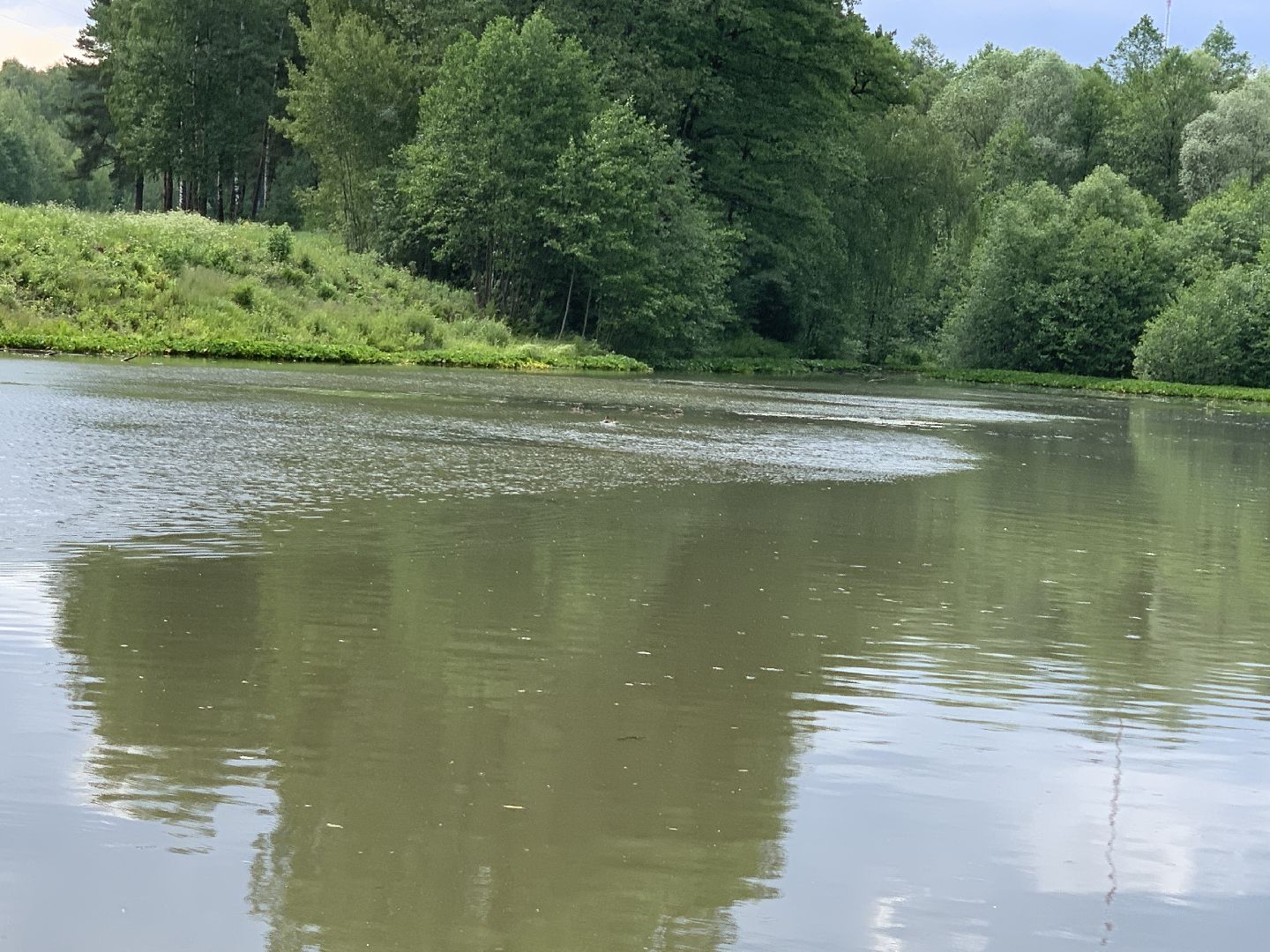 Балашиха, Подмосковье, благоустройство, экология, 100 прудов и озёр, пруды, водоёмы, экология