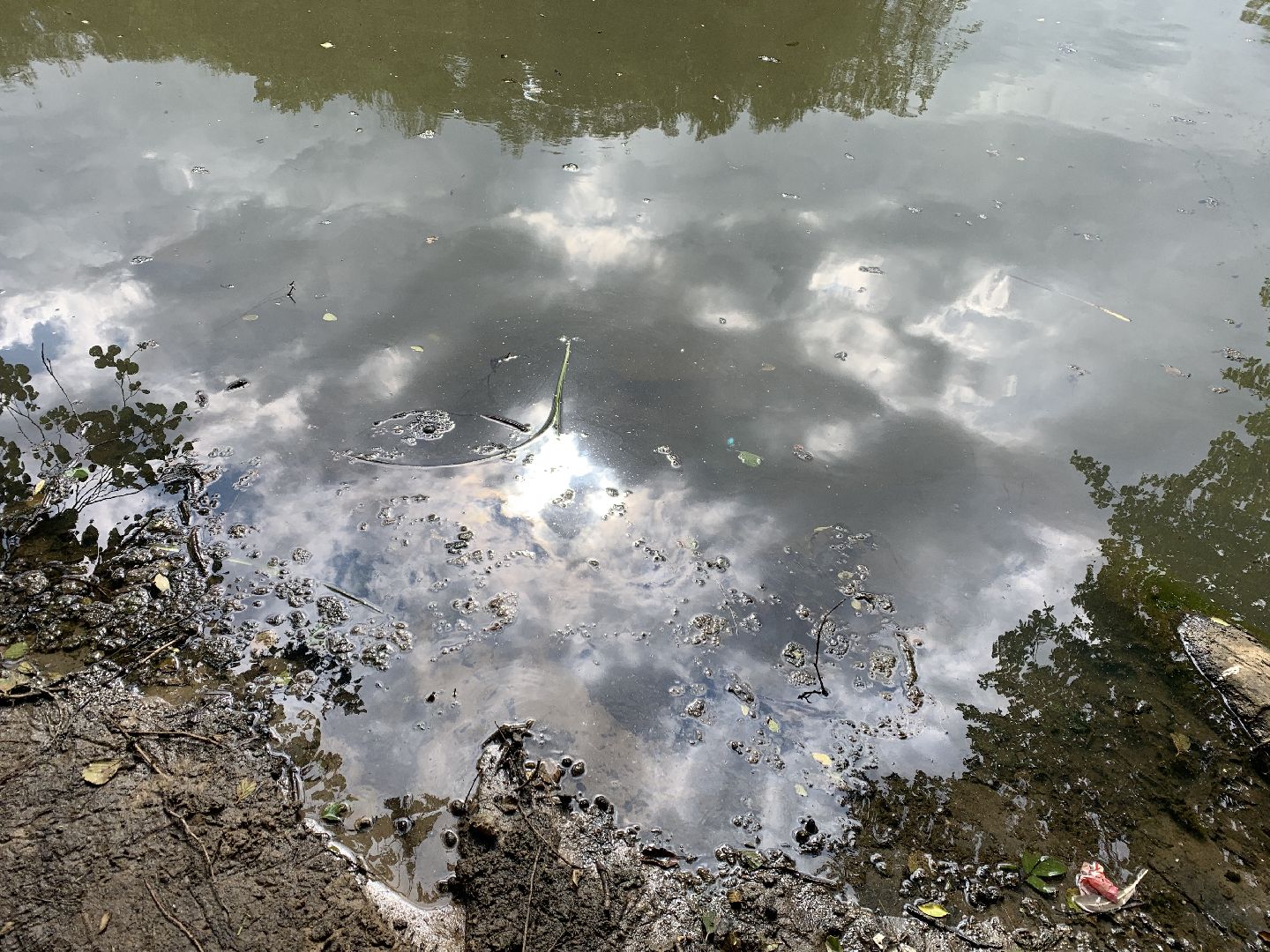 Балашиха, Подмосковье, благоустройство, экология, 100 прудов и озёр, пруды, водоёмы, экология