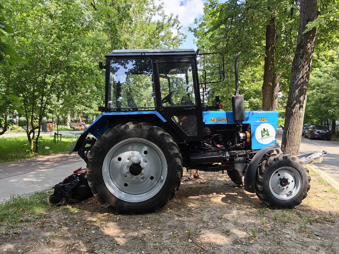 Пень, спил, деревья, благоустройство