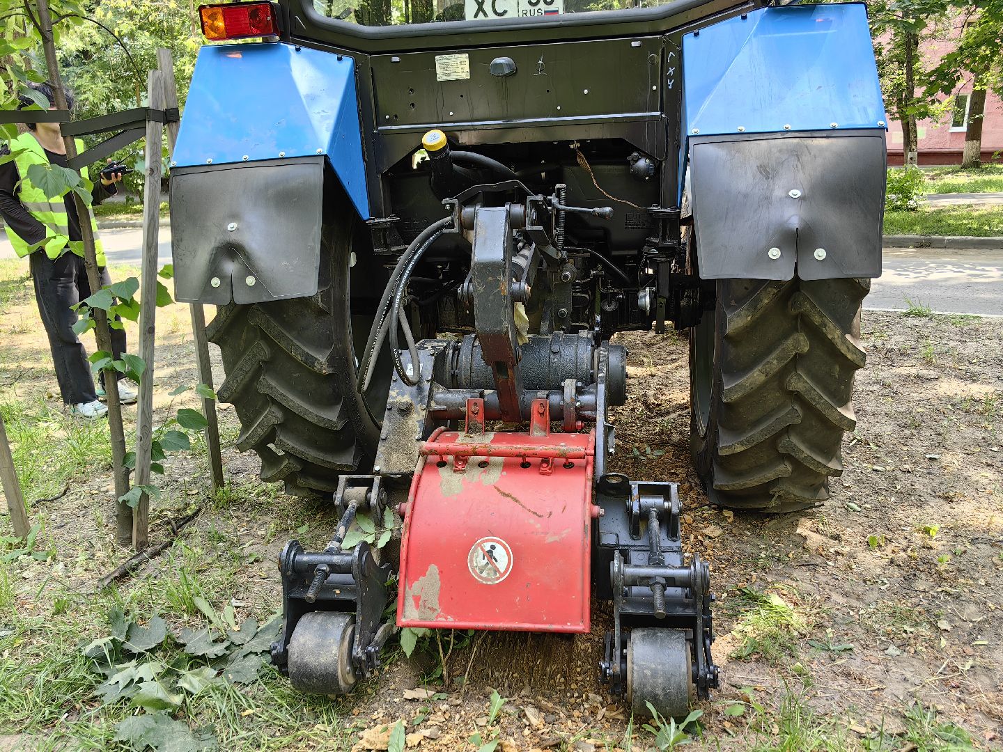 Пень, спил, деревья, благоустройство
