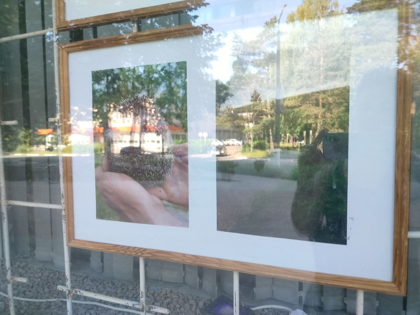 СВО, Протвино, фото, выставка, День памяти и скорби