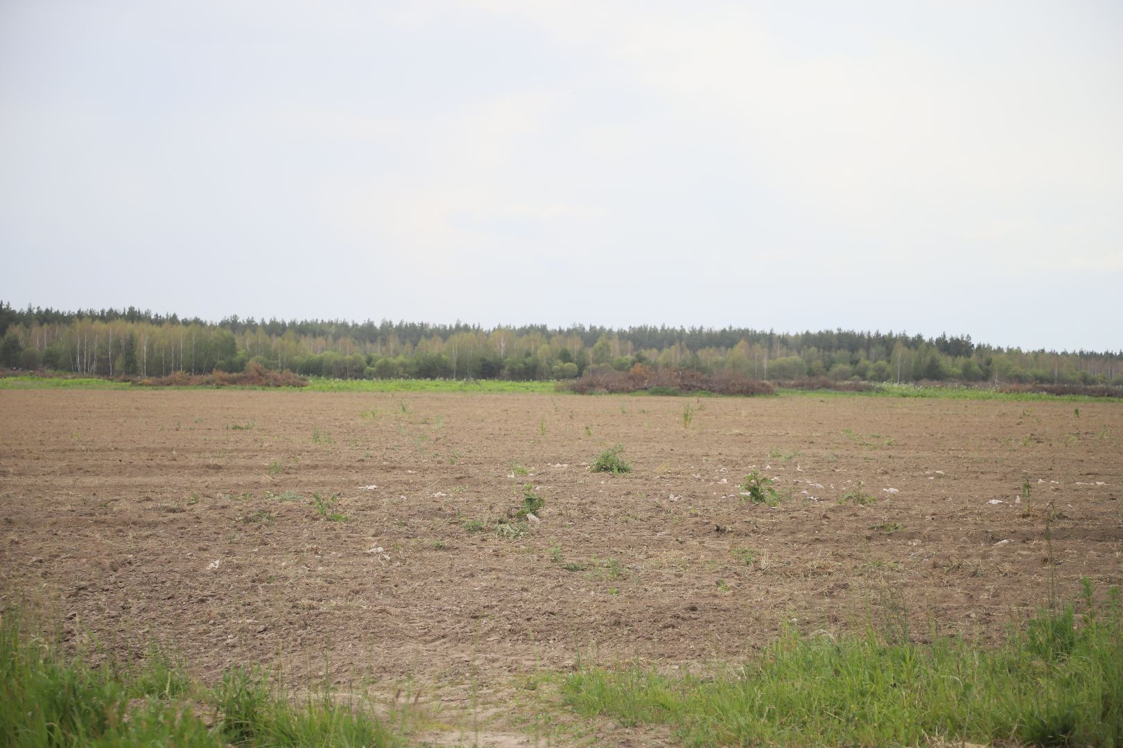 #БольшаяШатура#озимые#сельскоехозяйство