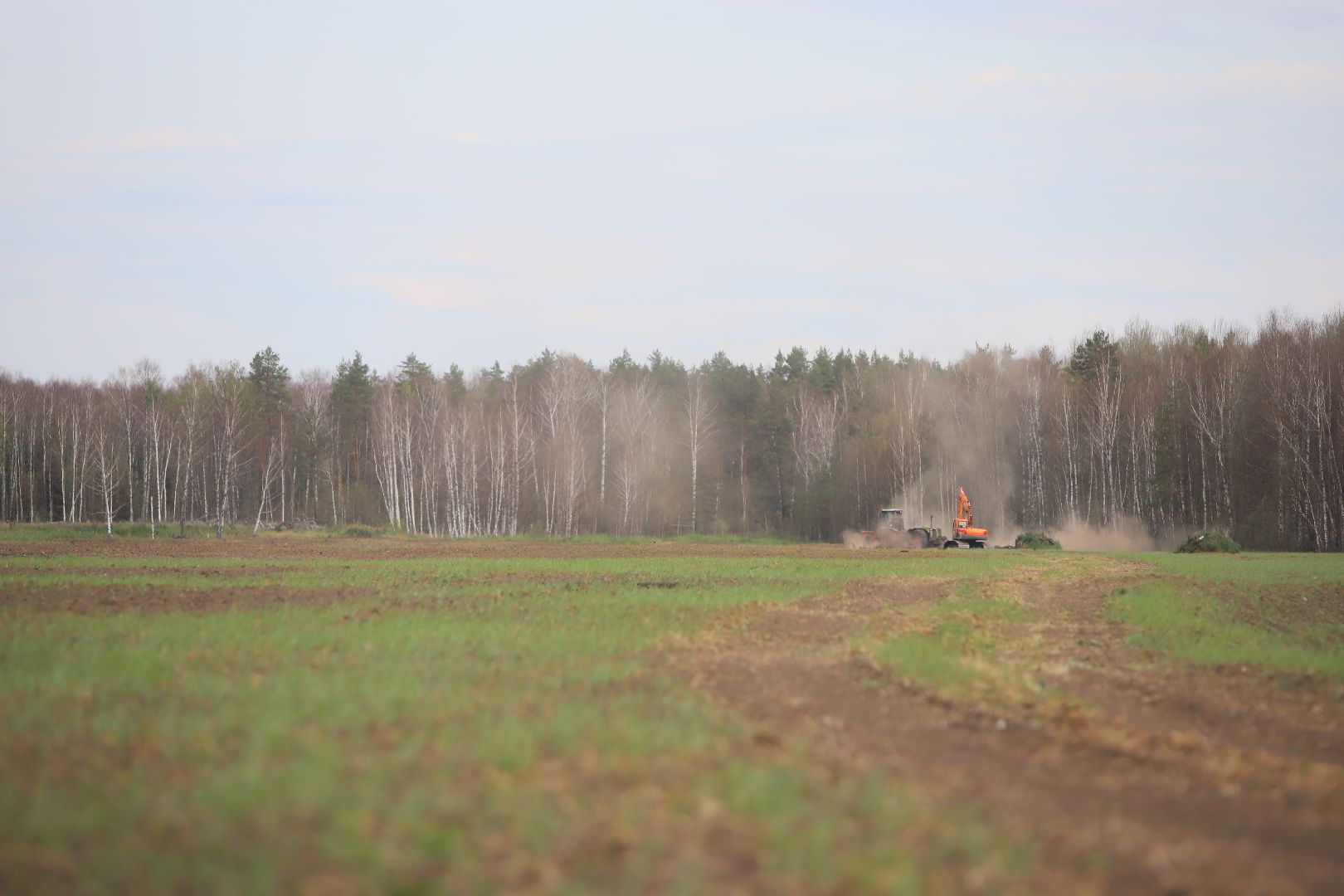 #БольшаяШатура#озимые#сельскоехозяйство