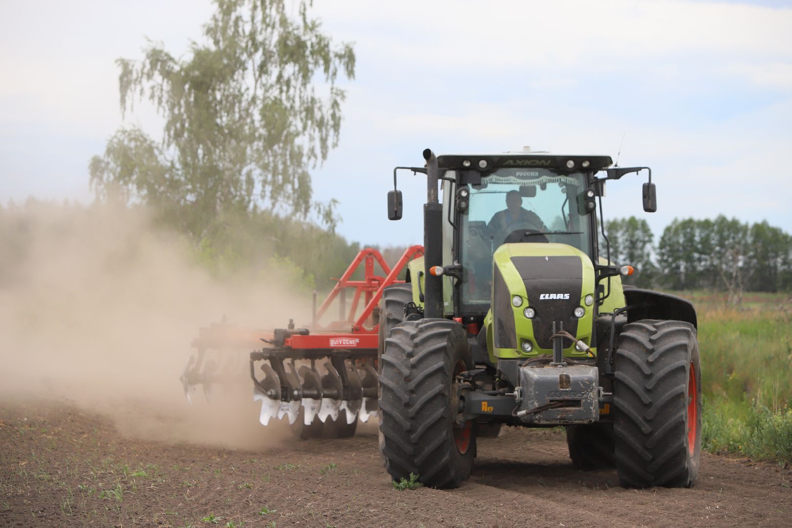 #БольшаяШатура#озимые#сельскоехозяйство