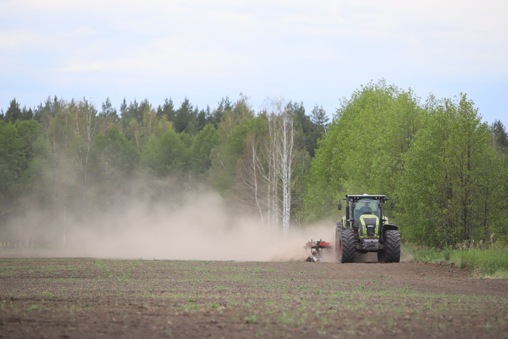 #БольшаяШатура#озимые#сельскоехозяйство