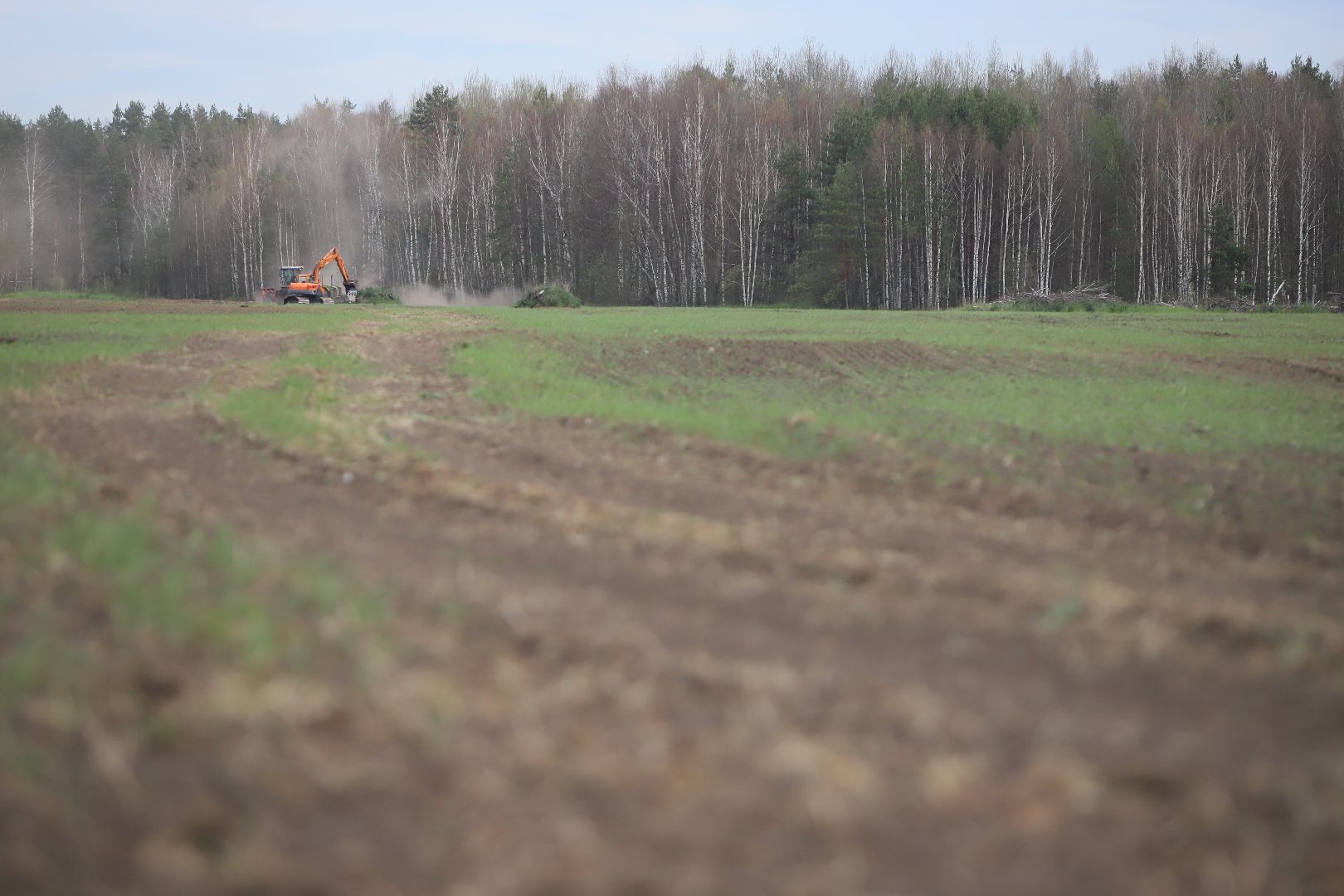 #БольшаяШатура#озимые#сельскоехозяйство