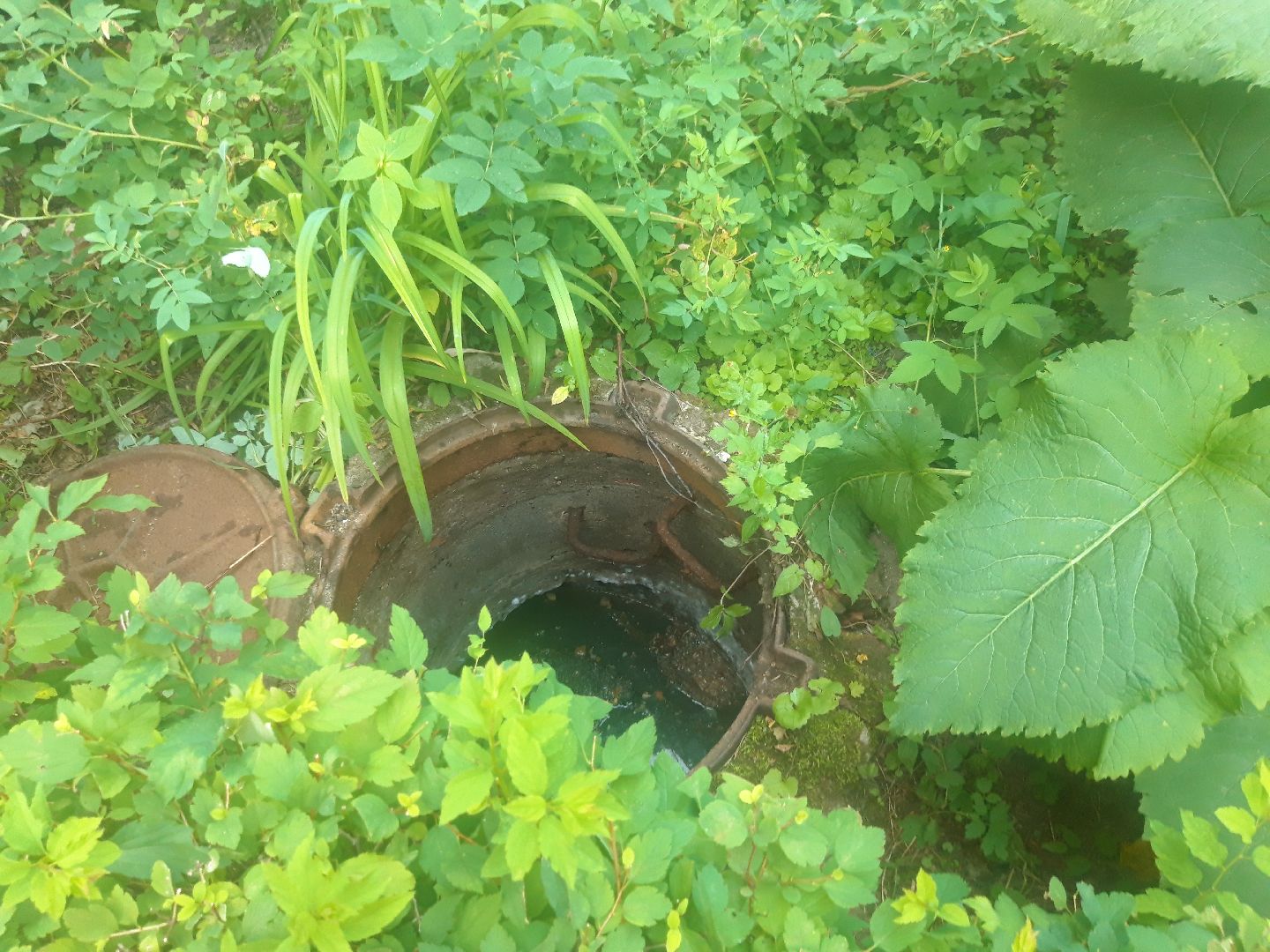 двор, доброе дело,