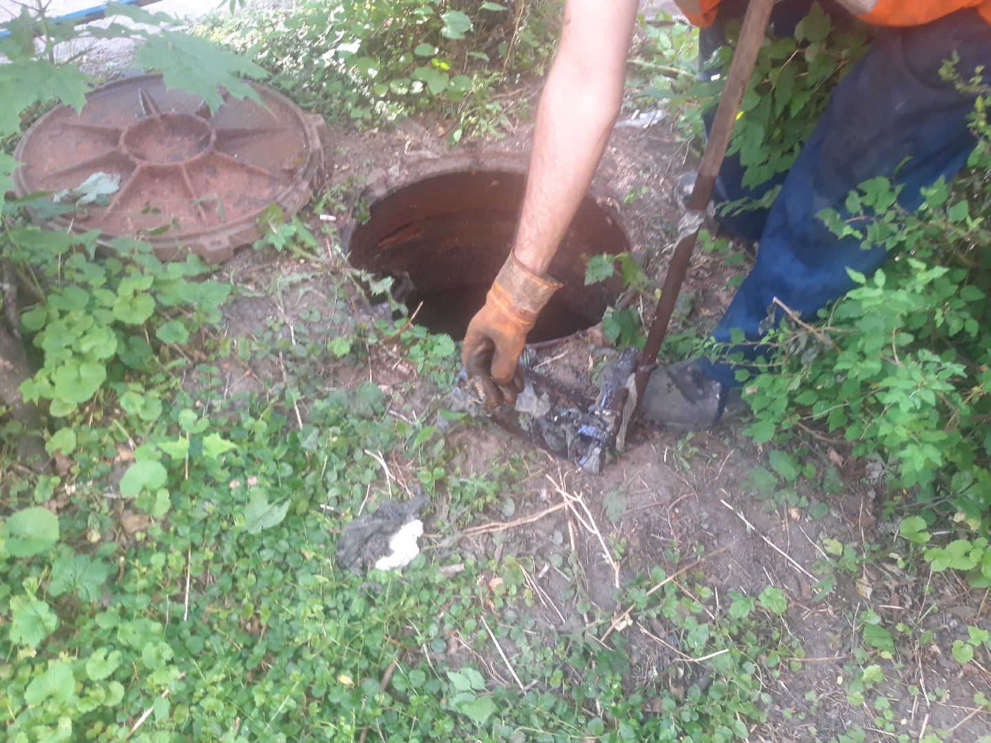 двор, доброе дело,