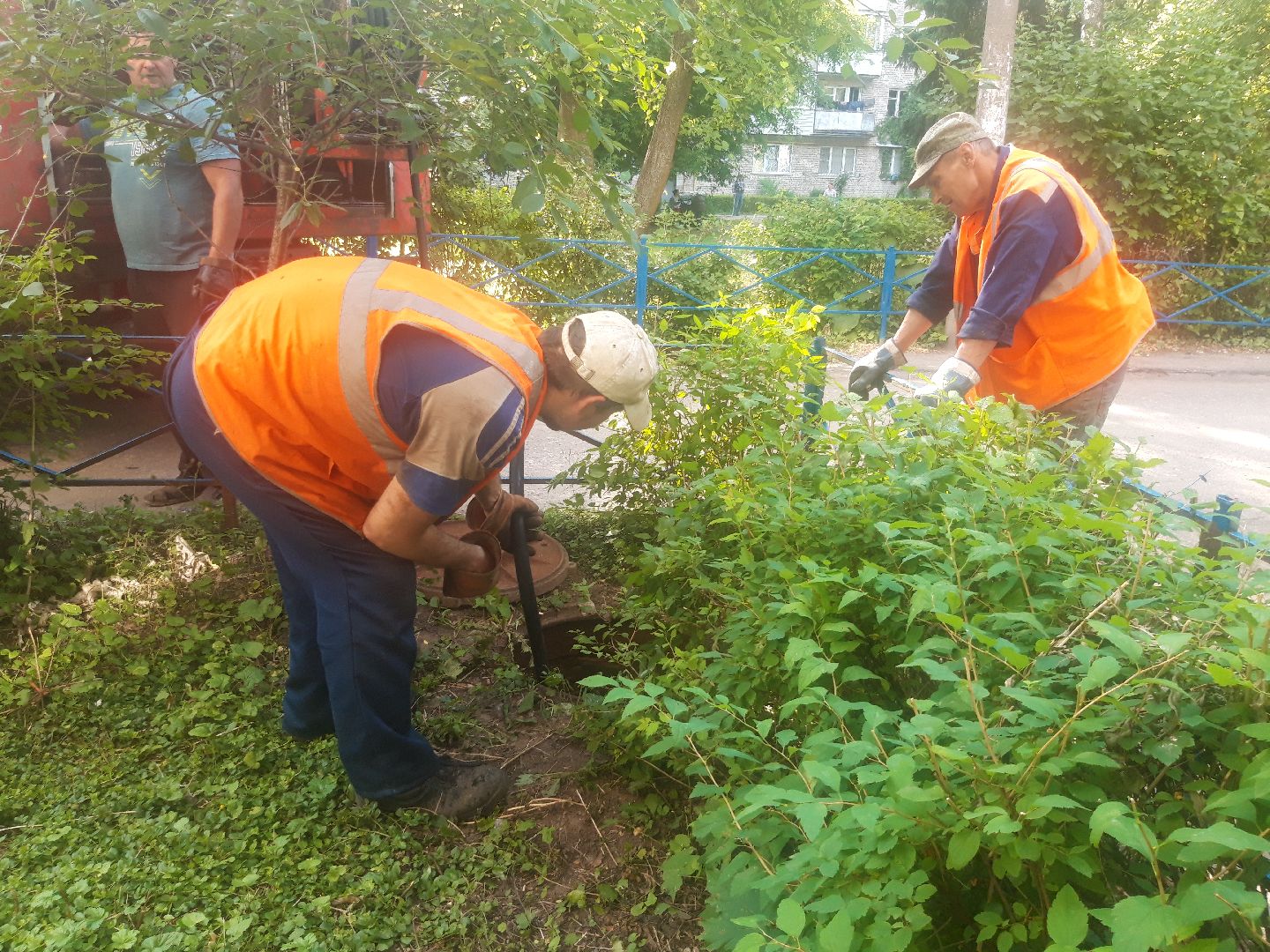 двор, доброе дело,