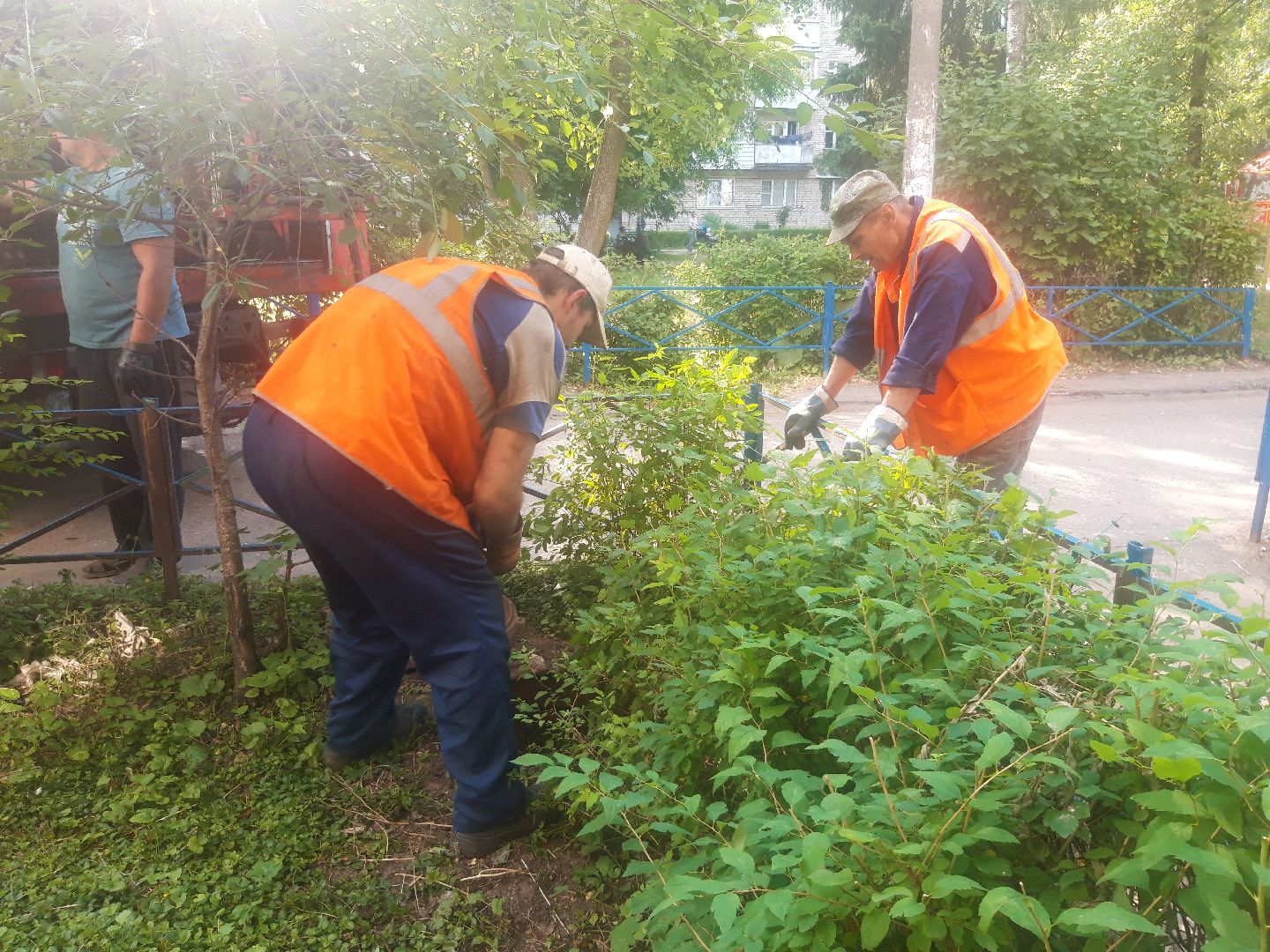 двор, доброе дело,