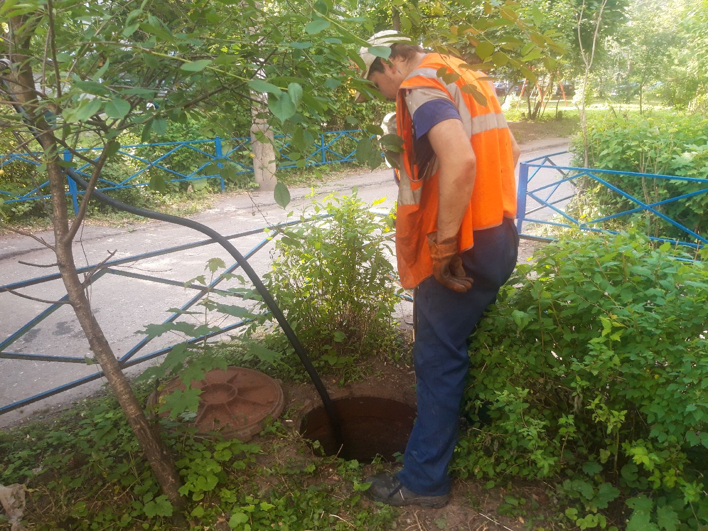 двор, доброе дело,