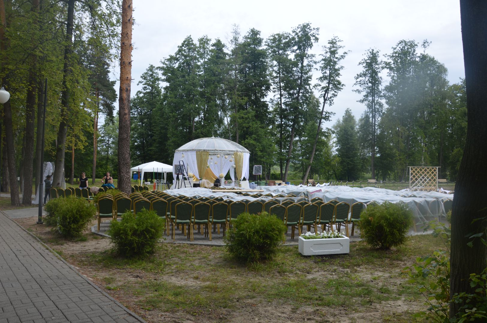 #Шатура, #срочно, #эксклюзив, #бал_выпускников,