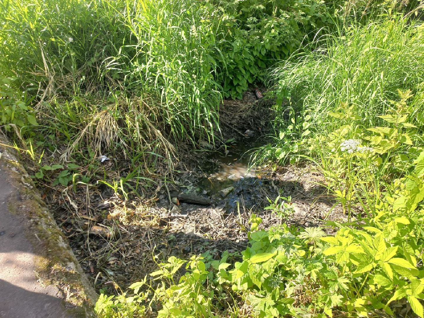 Солнечногорск, жкх, водоотведение, ливневка, жители