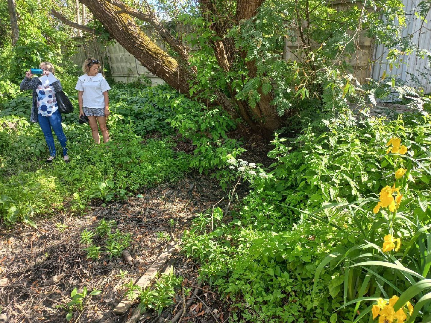 Солнечногорск, жкх, водоотведение, ливневка, жители