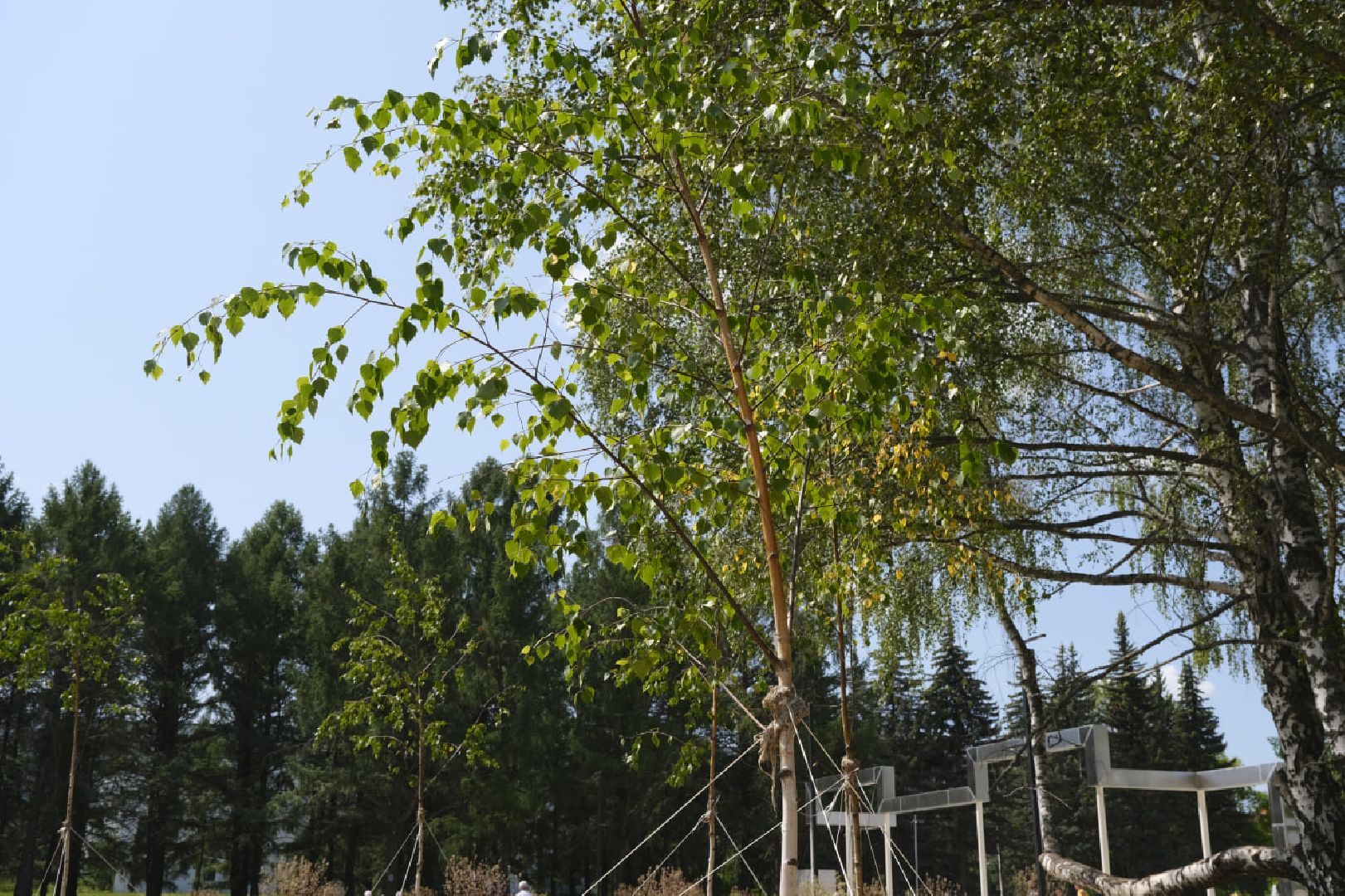 Пущино, благоустройство