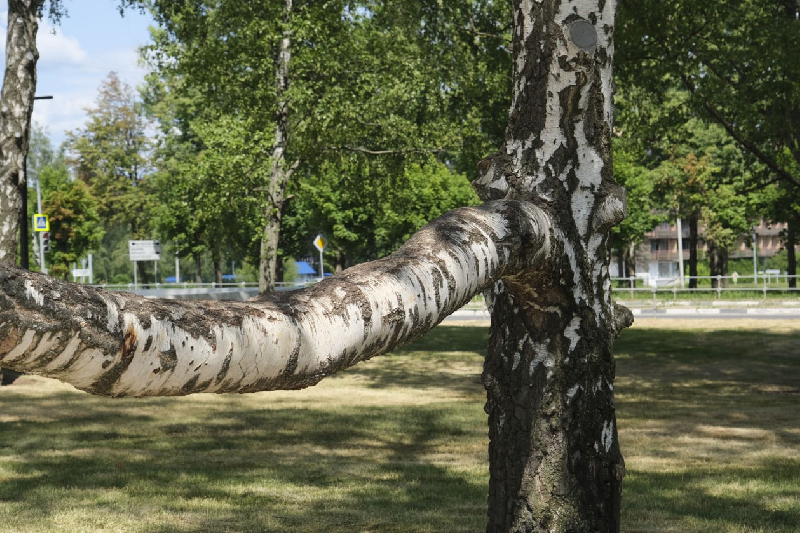 Пущино, благоустройство