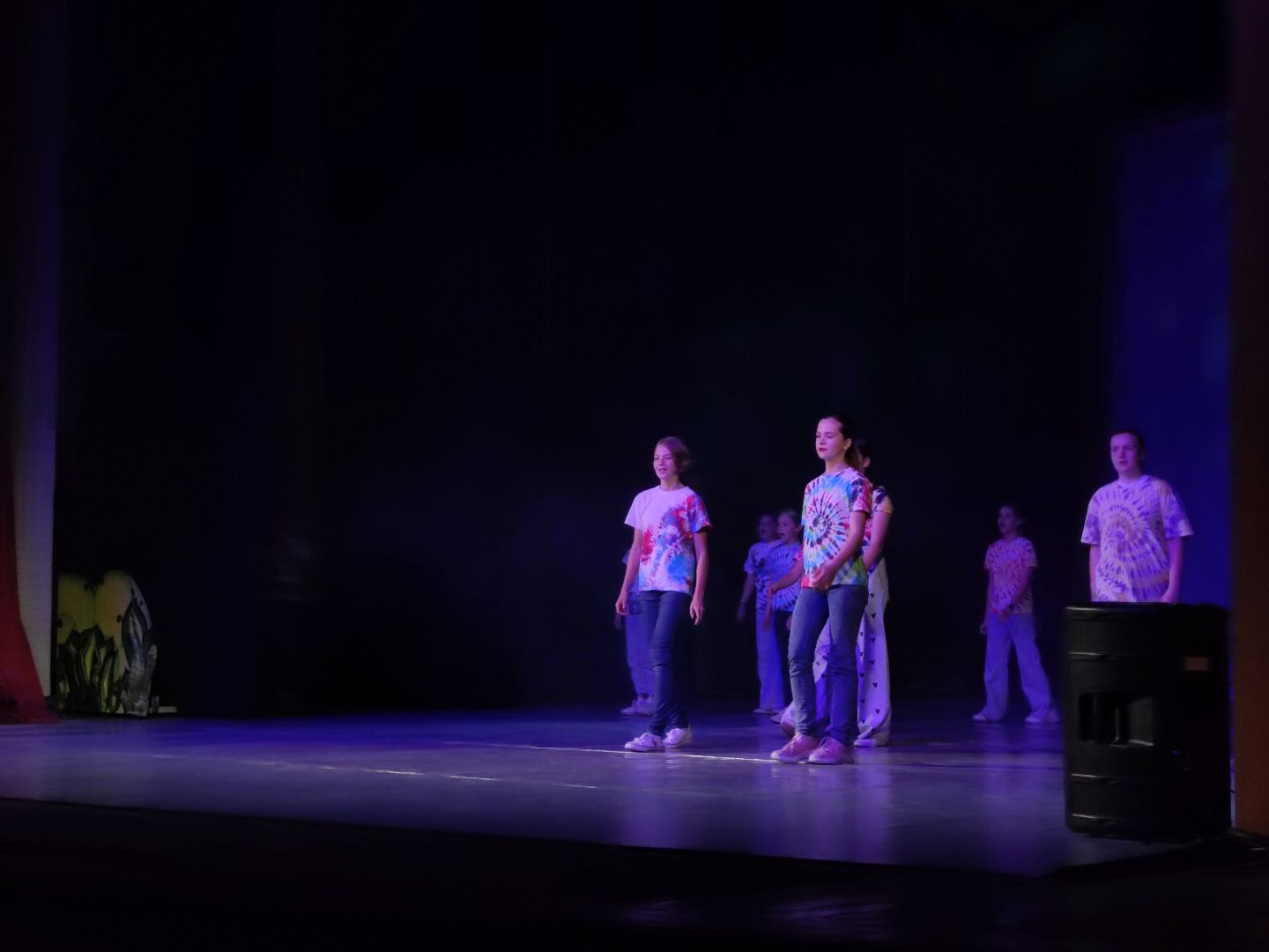 Лагерь, лети, лето, Дубна