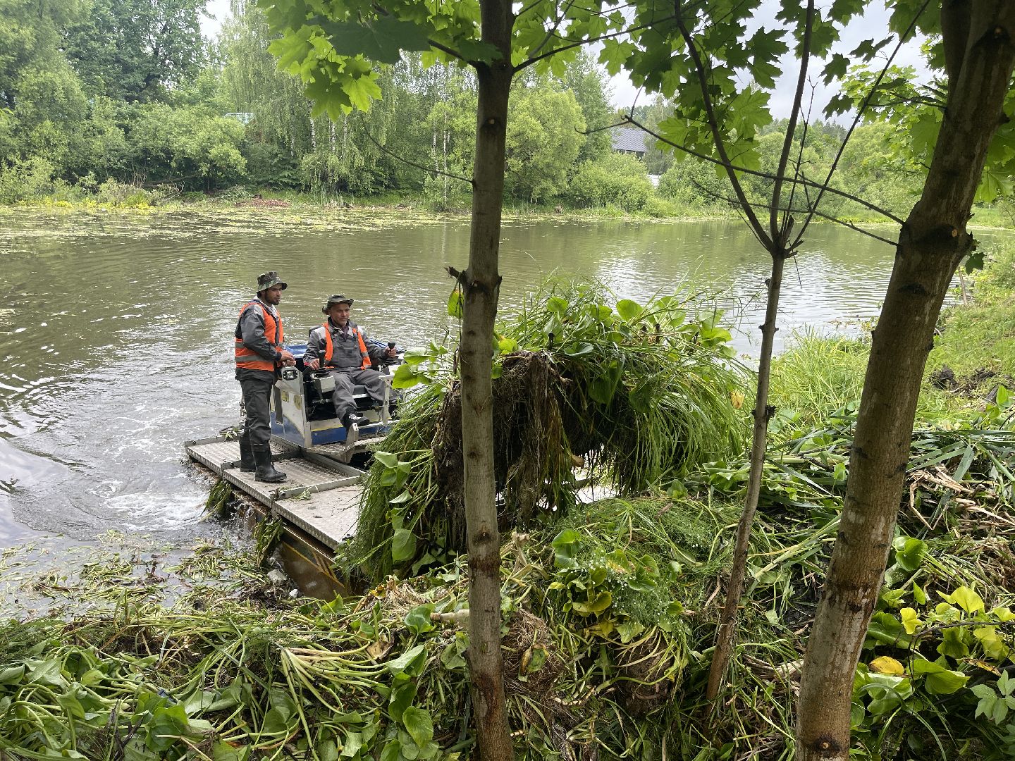 Зайцево, 100 прудов и озёр, экология, министерство, губернатор, Одинцово,