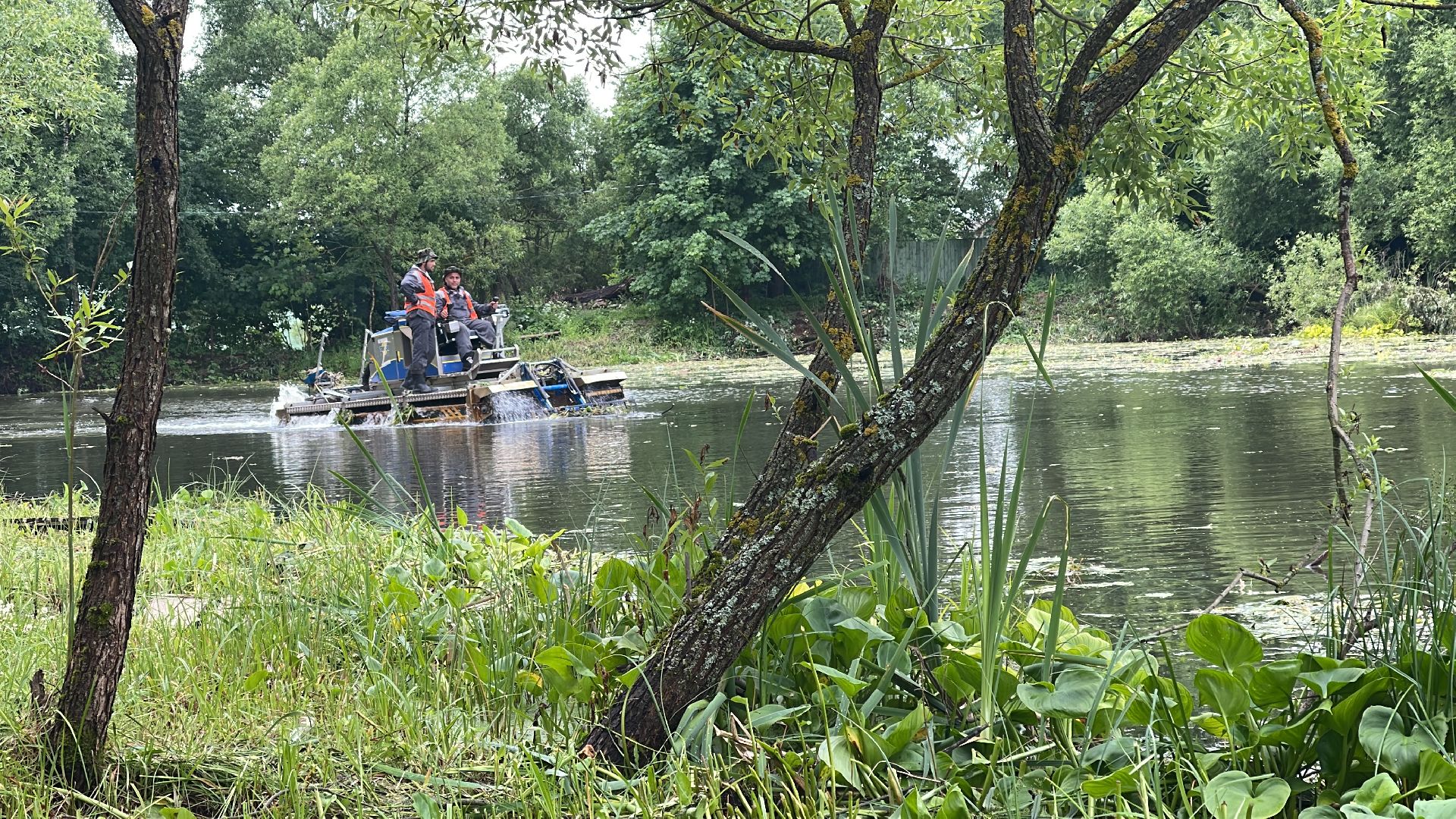 Зайцево, 100 прудов и озёр, экология, министерство, губернатор, Одинцово,