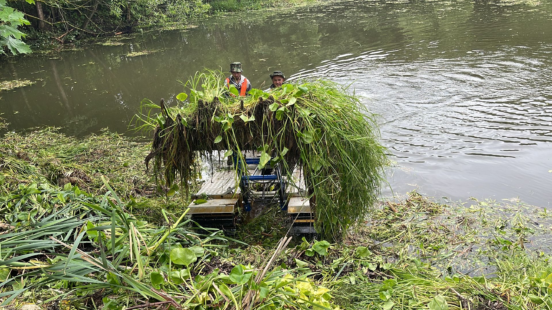 Зайцево, 100 прудов и озёр, экология, министерство, губернатор, Одинцово,