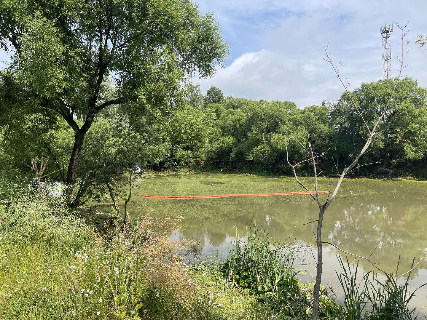 Зайцево, 100 прудов и озёр, экология, министерство, губернатор, Одинцово,