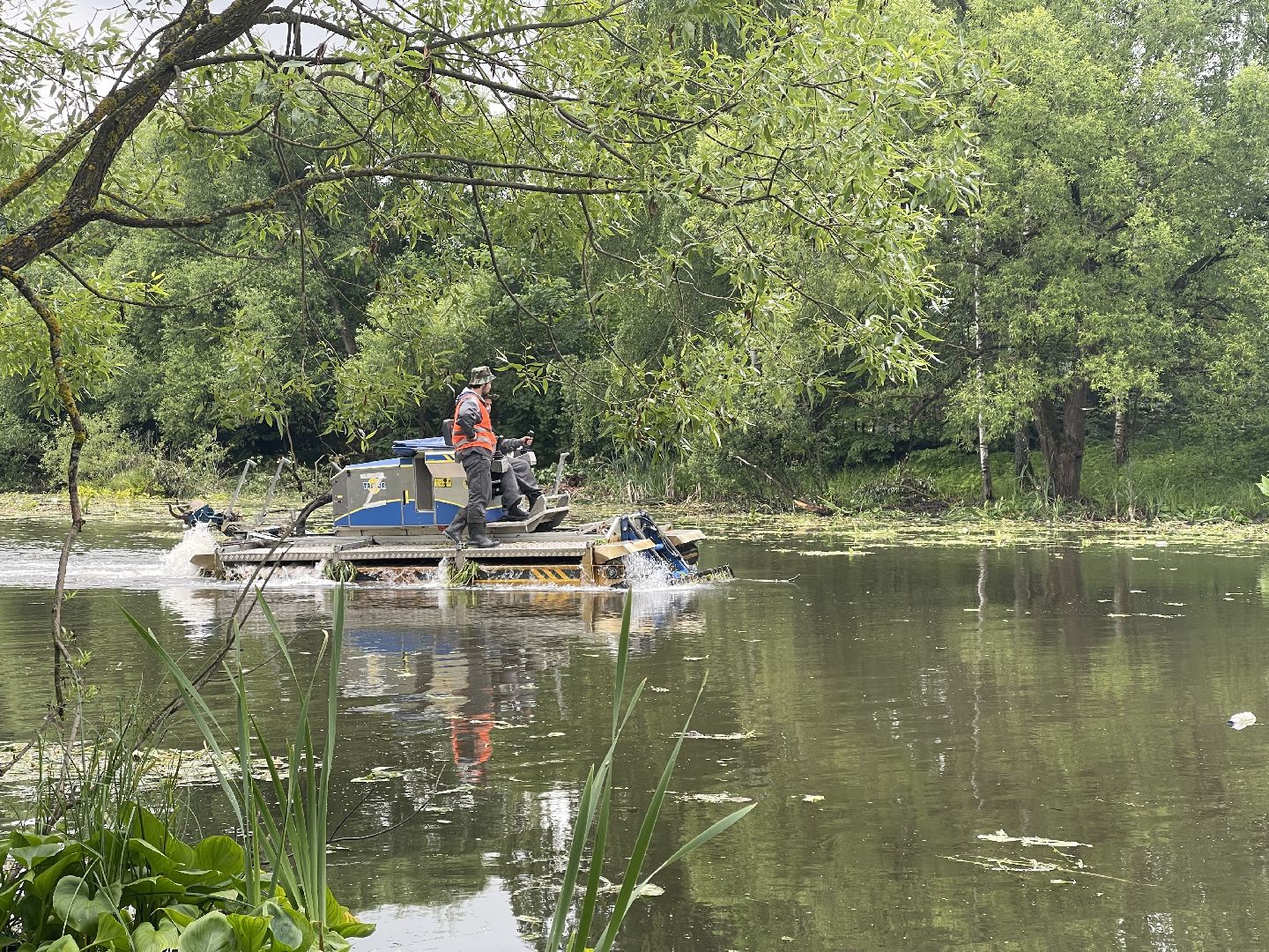 Зайцево, 100 прудов и озёр, экология, министерство, губернатор, Одинцово,