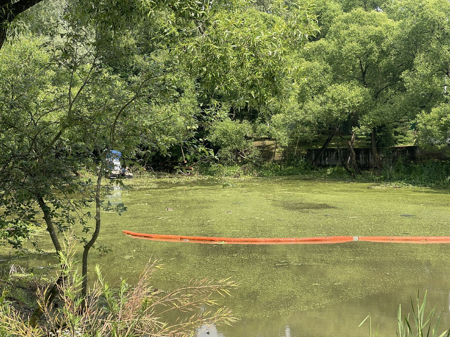 Зайцево, 100 прудов и озёр, экология, министерство, губернатор, Одинцово,