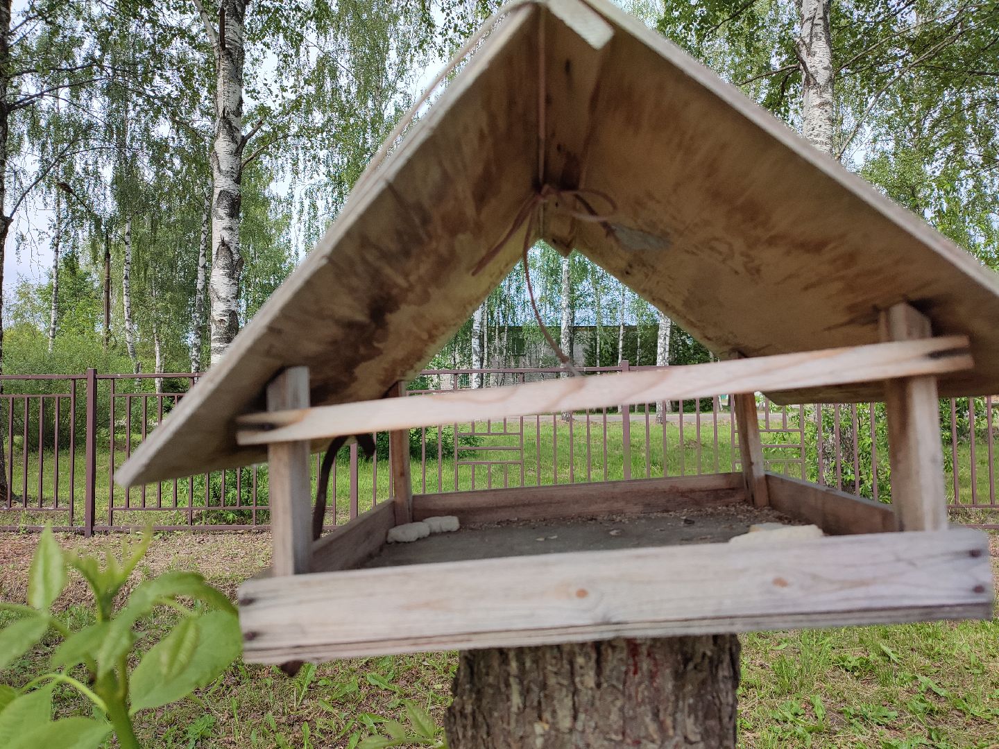 #экопарк, #солнечныйберег, #скворечники, #домдляптиц, #заботаоптицах