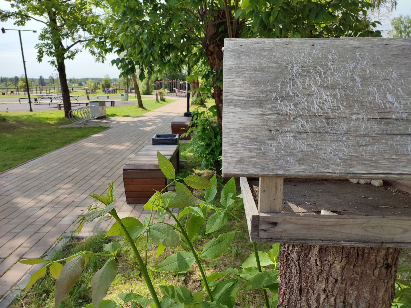 #экопарк, #солнечныйберег, #скворечники, #домдляптиц, #заботаоптицах