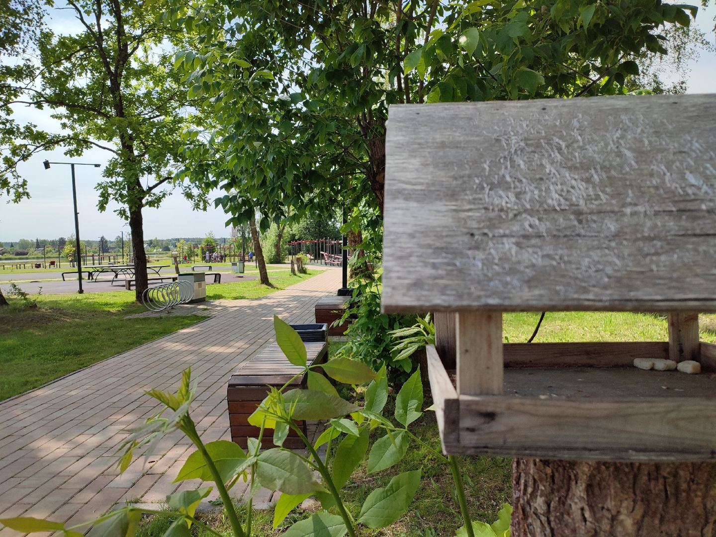 #экопарк, #солнечныйберег, #скворечники, #домдляптиц, #заботаоптицах