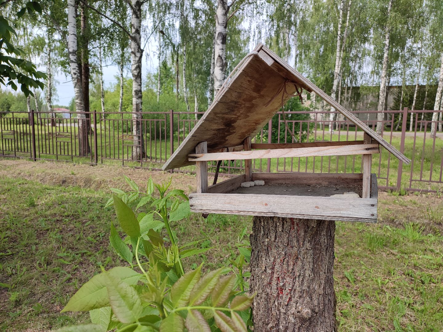 #экопарк, #солнечныйберег, #скворечники, #домдляптиц, #заботаоптицах