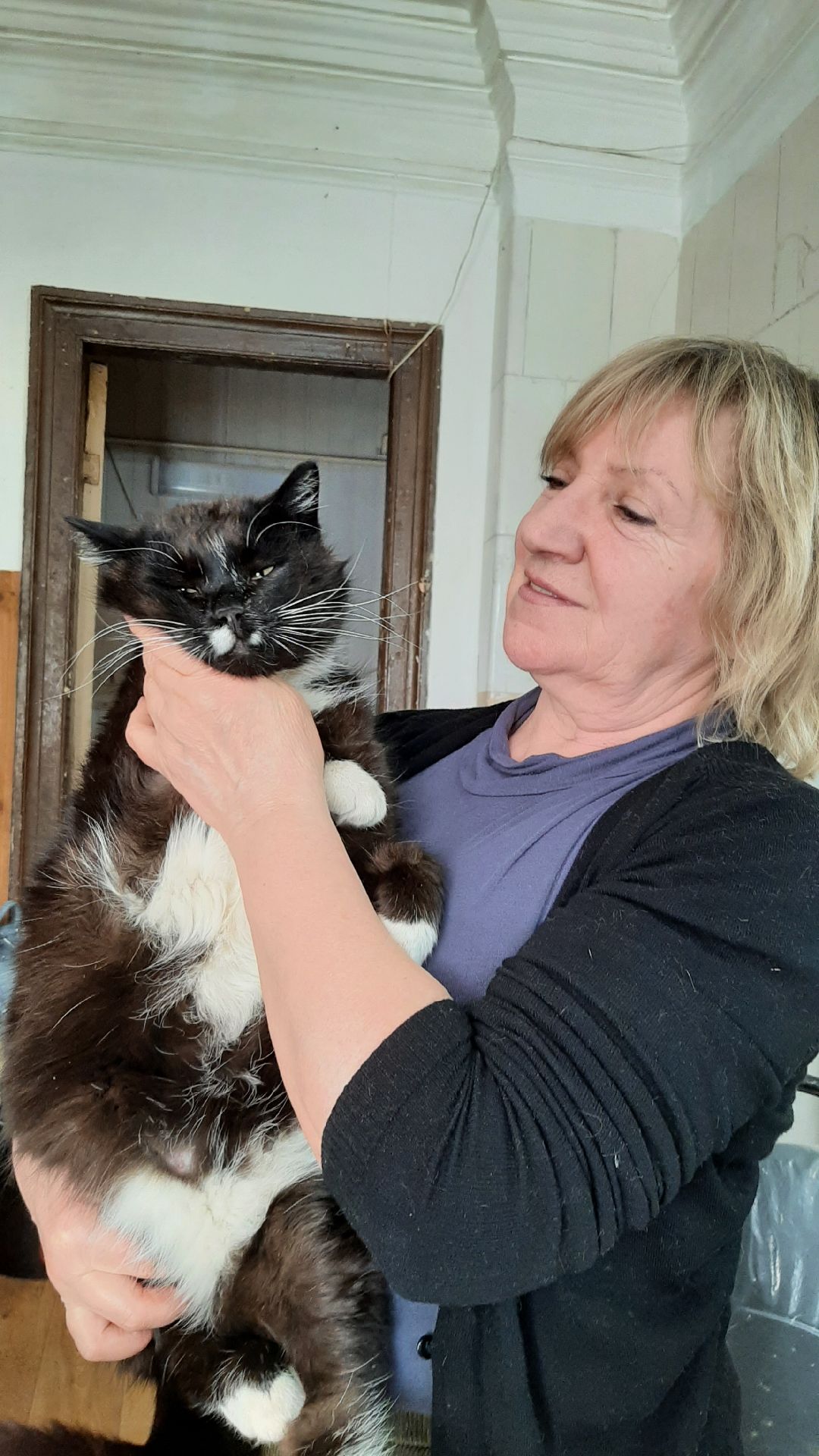 волонтеры, животные, благотворительность, Серпухов